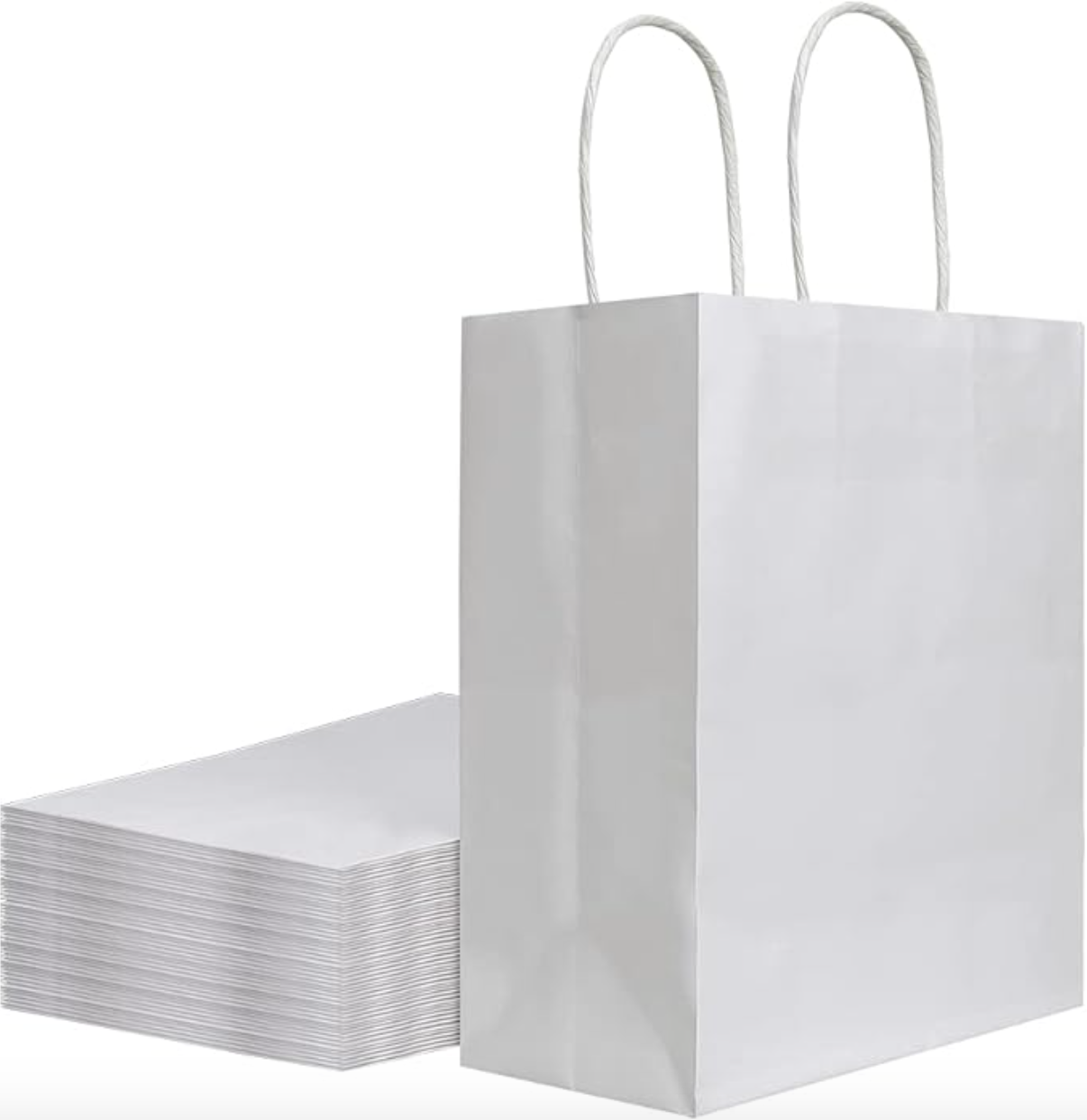 Custom Gift Bags (12 pcs)